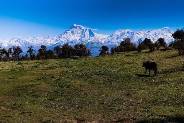 झ्याँकुको छहारे गुफा र चेर्दुङको यात्रा