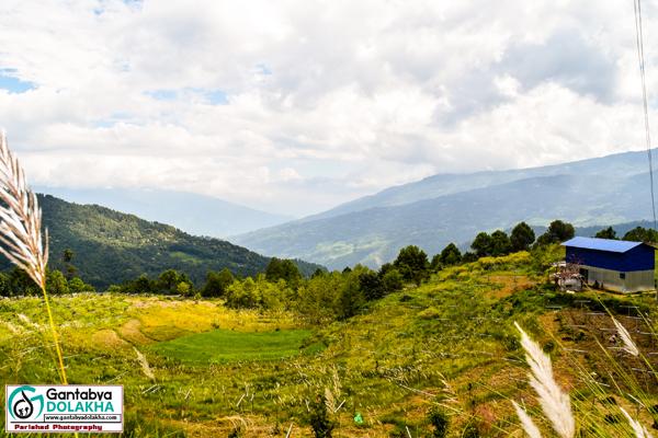 आहा कति राम्रो भीमेश्वर अर्गानिक फर्म - फोटो फिचर 